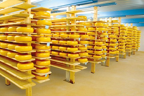 Dairy and Cheese