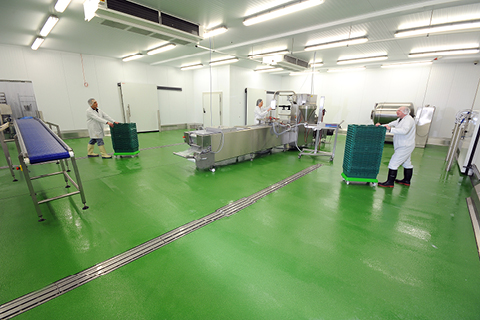 The Importance of Resin Flooring within the Safe Design of a Food Processing Facility