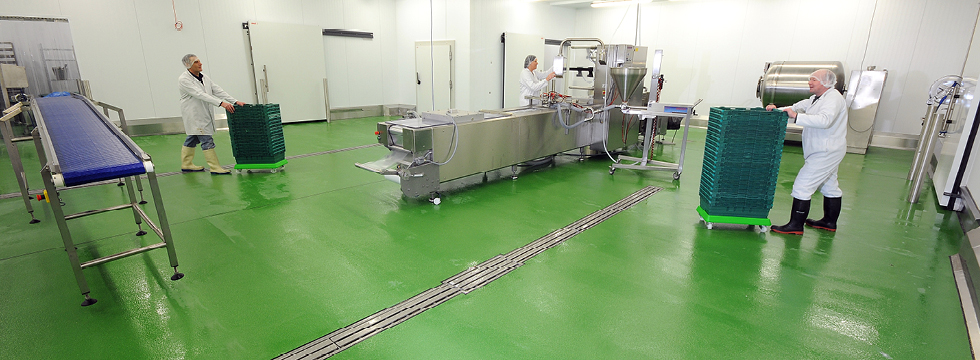 Food and Drink Manufacturing