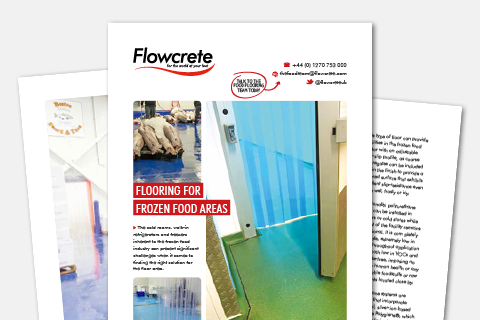 Flooring for Frozen Food Areas